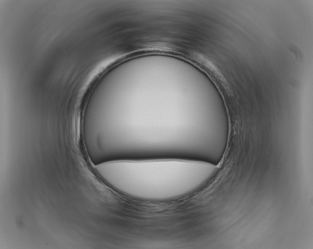 X0000111371323200907101009