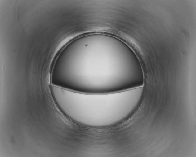 X0000111371324200907101009