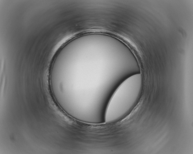 X0000111371325200907101009