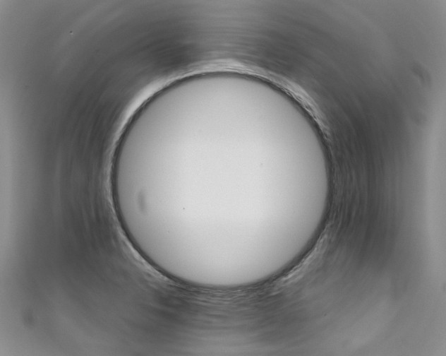 X0000111371326200907101009