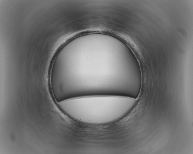 X0000111371327200907101009