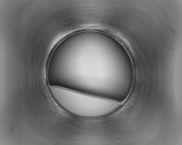 X0000111371328200907101009