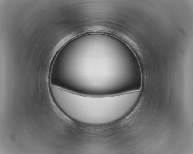 X0000111371330200907101009