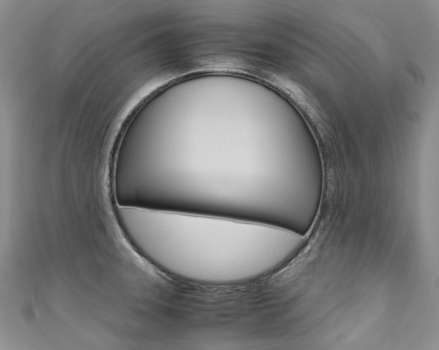 X0000111371331200907101009