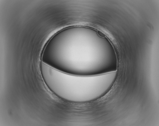 X0000111371332200907101009