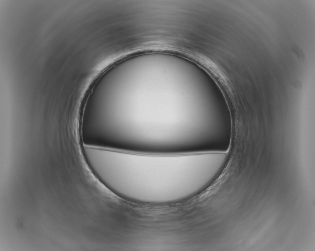 X0000111371334200907101009