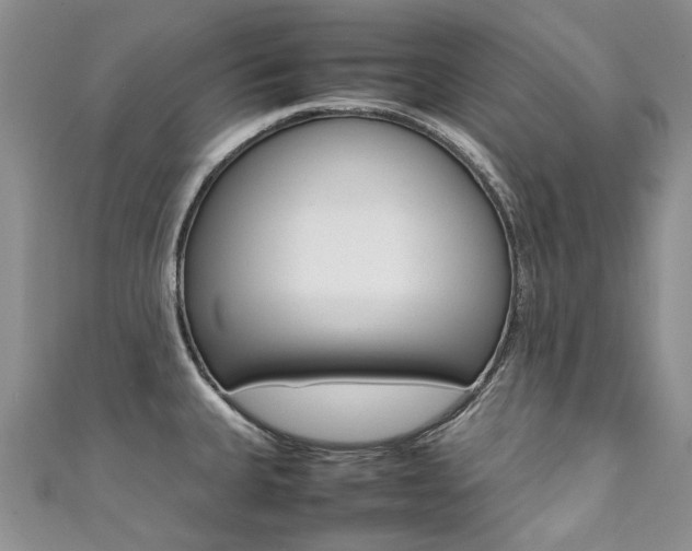X0000111371335200907101009