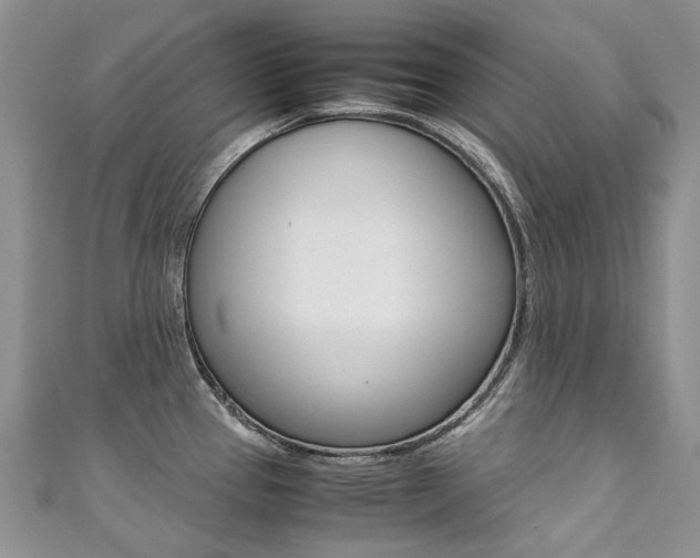 X0000111371337200907101009