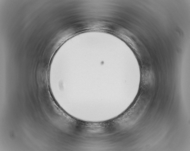 X0000111371338200907101009
