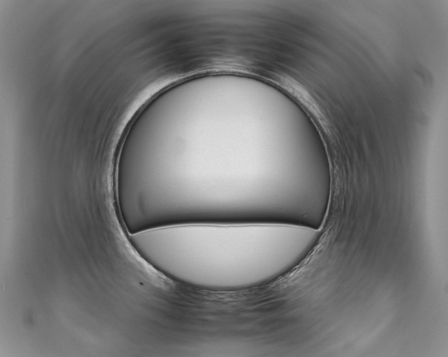 X0000111371339200907101009