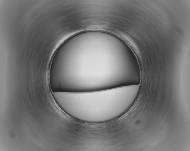 X0000111371340200907101009