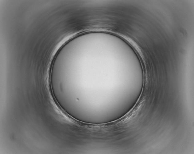 X0000111371341200907101009