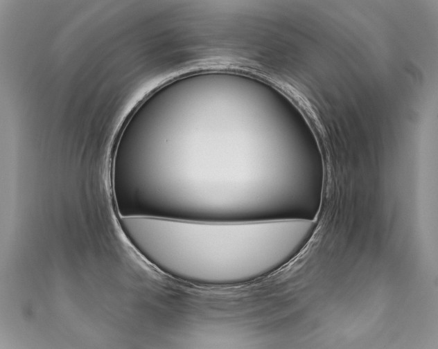 X0000111371342200907101009