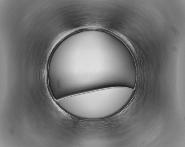 X0000111371343200907101009