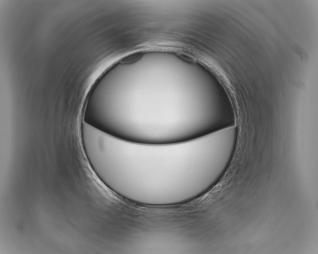 X0000111371344200907101009