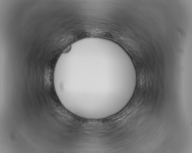 X0000111371346200907101009