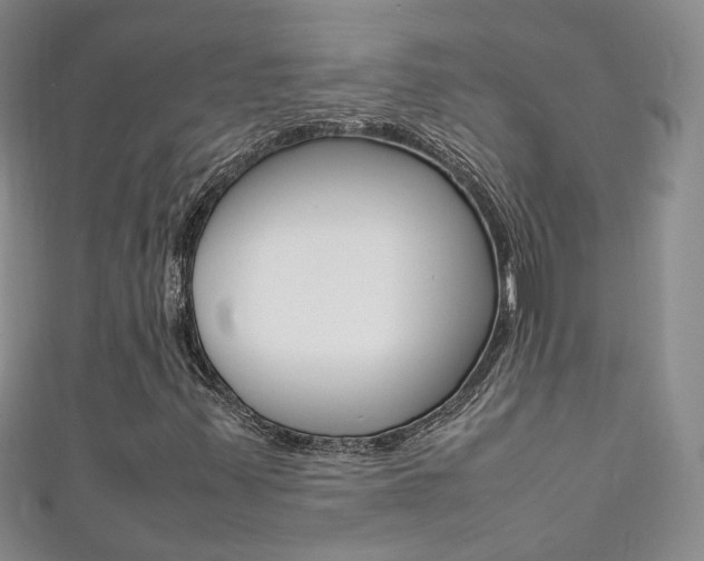 X0000111371347200907101009