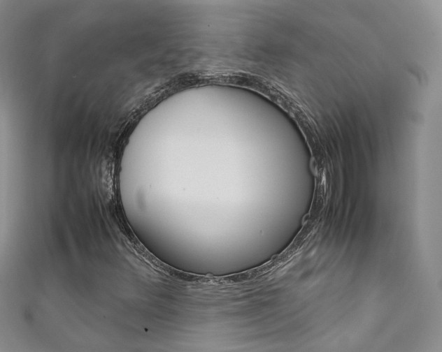 X0000111371348200907101009