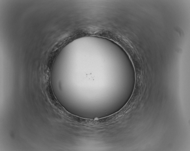 X0000111371349200907101009
