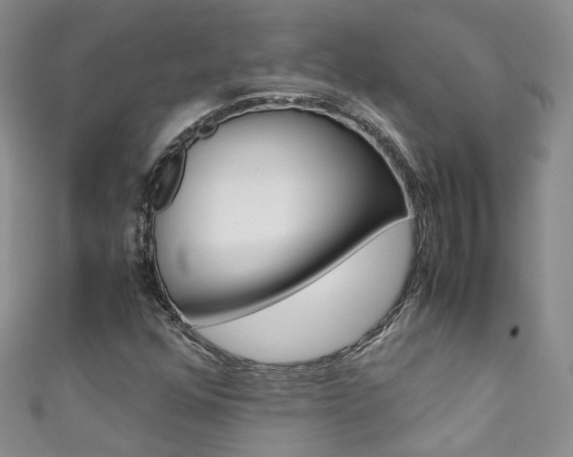 X0000111371352200907101009