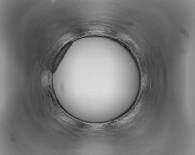 X0000111371353200907101009