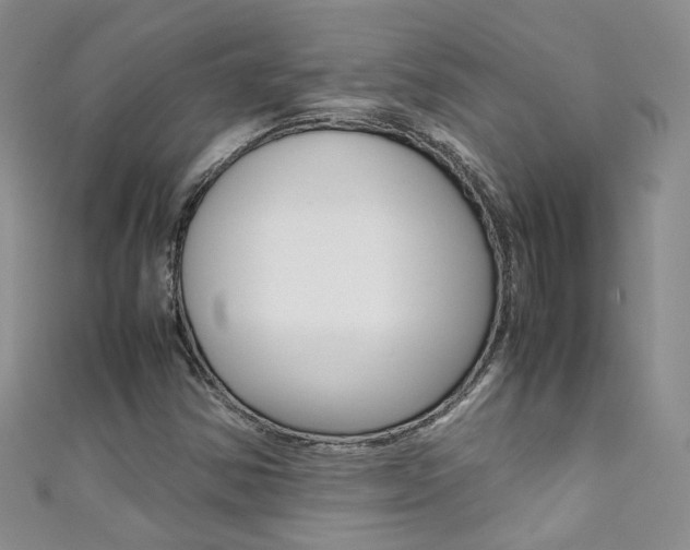 X0000111371354200907101009