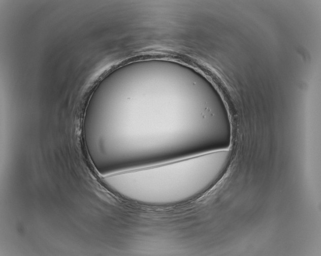 X0000111371355200907101009