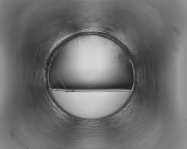 X0000111371356200907101009