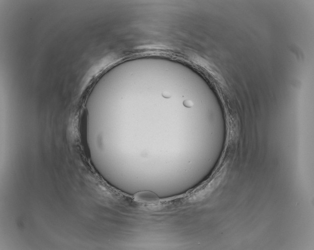 X0000111371357200907101008