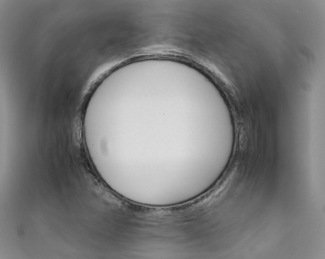 X0000111371358200907101008