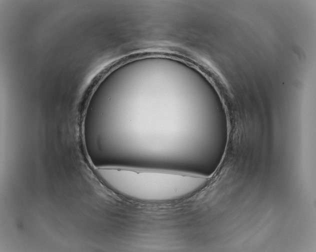 X0000111371360200907101008