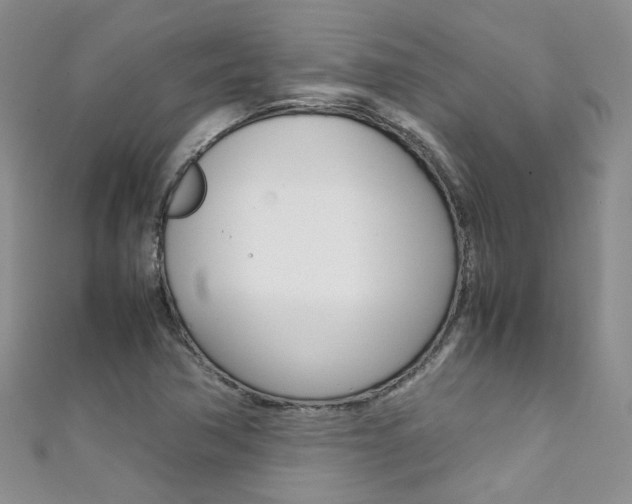 X0000111371362200907101008
