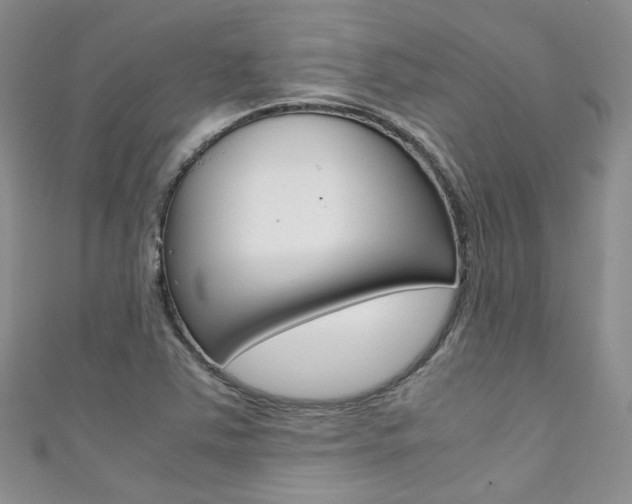 X0000111371363200907101008