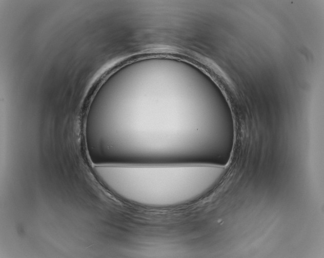 X0000111371364200907101008