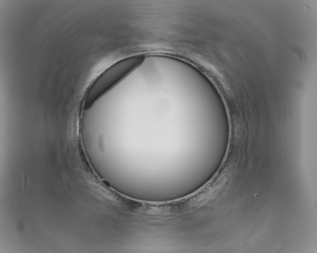 X0000111371365200907101008
