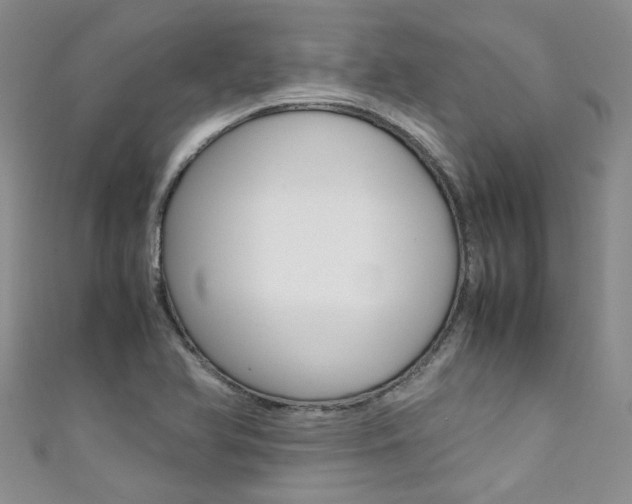 X0000111371366200907101008