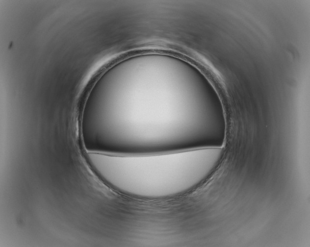 X0000111371368200907101008