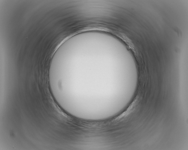 X0000111371369200907101008