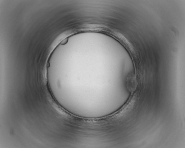 X0000111371370200907101008