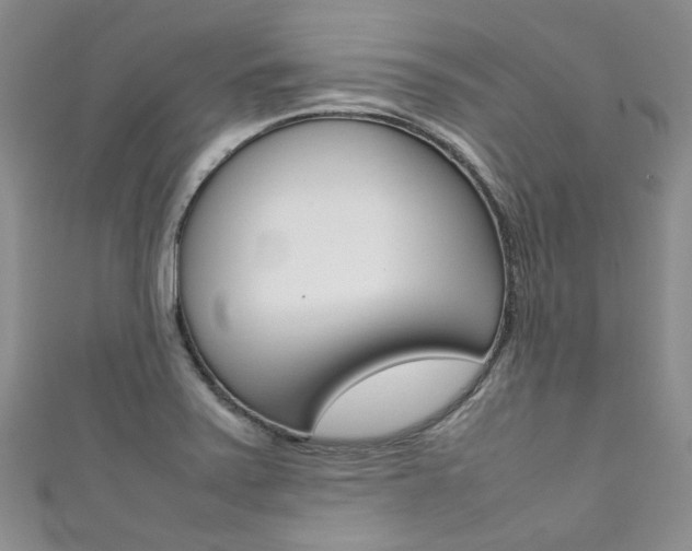X0000111371371200907101008