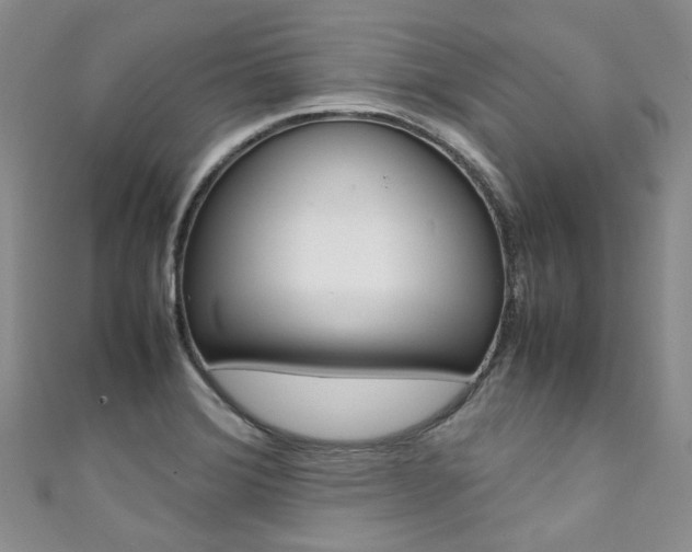 X0000111371372200907101008