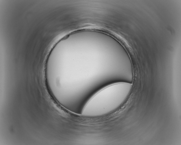 X0000111371375200907101008