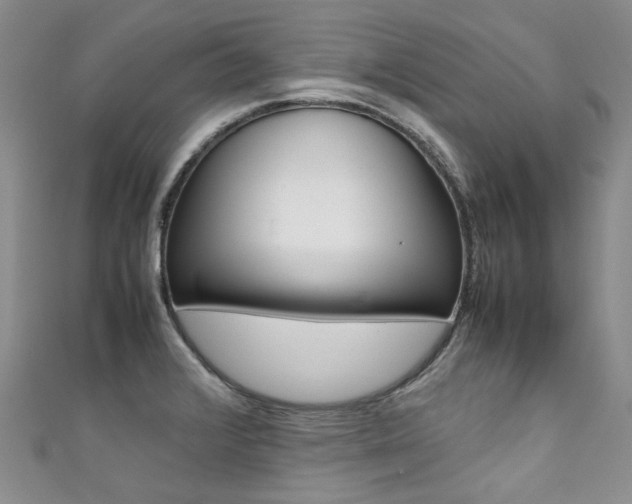 X0000111371376200907101008