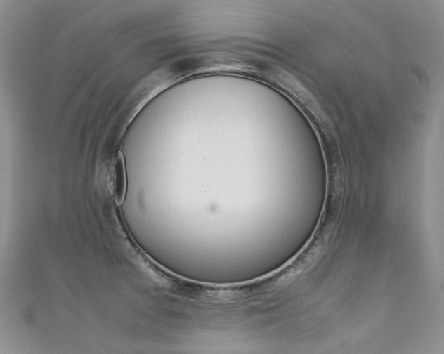 X0000111371377200907101008