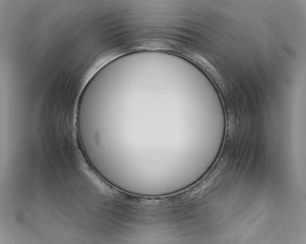 X0000111371378200907101008