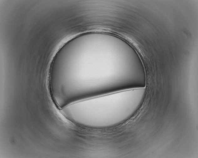 X0000111371379200907101008