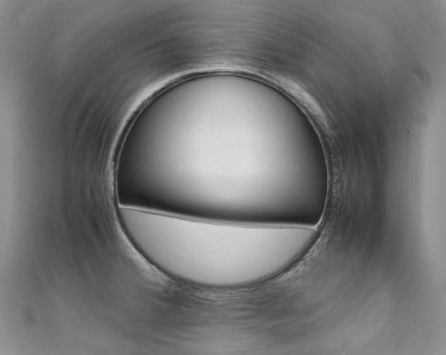 X0000111371380200907101008