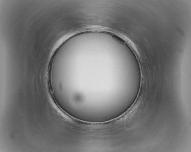 X0000111371381200907101008