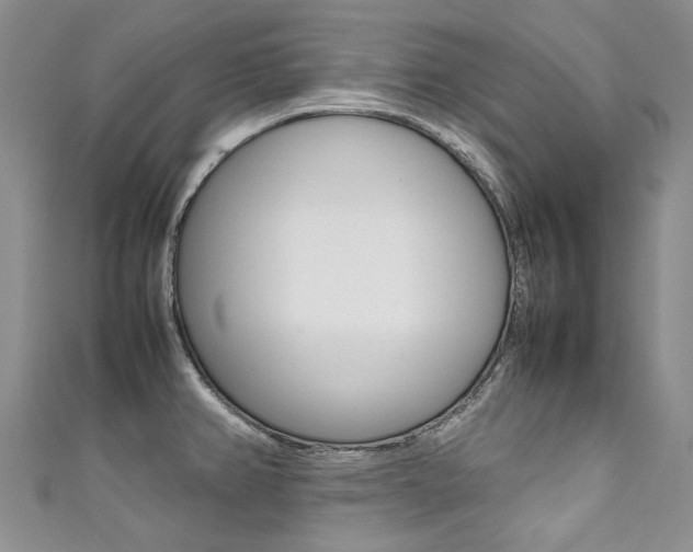 X0000111371382200907101008