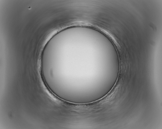 X0000111371383200907101008
